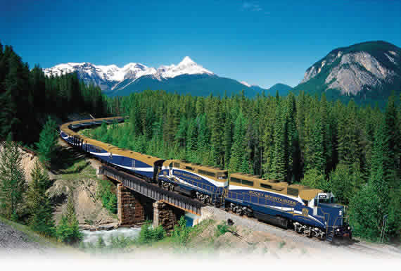 Rocky Mountaineer in the woods
